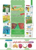 مجله کودک 440 صفحه 2