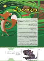 مجله کودک 440 صفحه 14