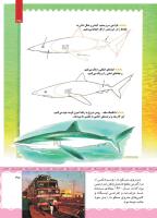 مجله کودک 441 صفحه 35
