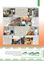 مجله کودک 442 صفحه 38