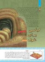 مجله کودک 444 صفحه 14