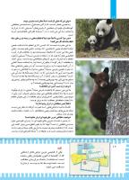 مجله کودک 444 صفحه 12