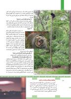 مجله کودک 445 صفحه 12