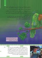 مجله کودک 445 صفحه 33