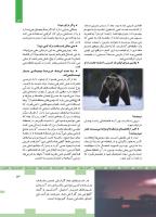 مجله کودک 445 صفحه 13