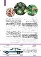 مجله کودک 449 صفحه 13