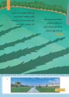 مجله کودک 451 صفحه 7