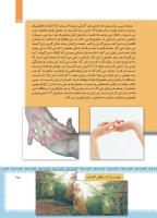 مجله کودک 451 صفحه 25