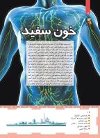 مجله کودک 456 صفحه 14