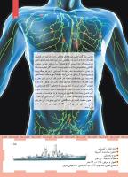 مجله کودک 456 صفحه 15