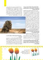 مجله کودک 459 صفحه 11