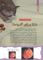 مجله کودک 463 صفحه 8