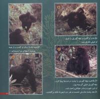 مجله خردسال 34 صفحه 21