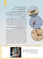 مجله کودک 466 صفحه 11