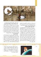 مجله کودک 466 صفحه 12
