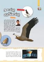مجله کودک 466 صفحه 10