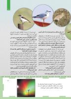 مجله کودک 467 صفحه 11