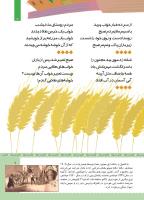 مجله کودک 471 صفحه 7