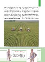 مجله کودک 481 صفحه 12