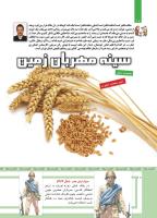 مجله کودک 481 صفحه 10