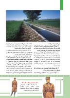 مجله کودک 482 صفحه 14