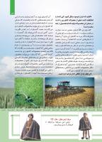 مجله کودک 482 صفحه 13