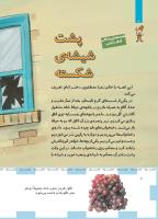 مجله کودک 487 صفحه 8