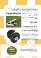 مجله کودک 488 صفحه 13