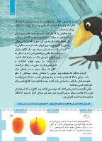 مجله کودک 489 صفحه 35