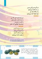 مجله کودک 489 صفحه 7