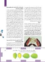 مجله کودک 490 صفحه 13