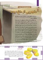 مجله کودک 490 صفحه 8