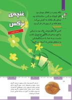 مجله کودک 490 صفحه 26
