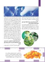 مجله کودک 490 صفحه 12
