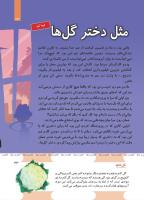 مجله کودک 491 صفحه 33