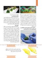 مجله کودک 491 صفحه 14