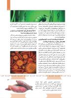 مجله کودک 491 صفحه 13