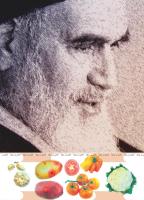 مجله کودک 491 صفحه 43