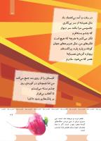 مجله کودک 491 صفحه 27