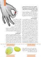 مجله کودک 491 صفحه 11