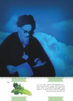 مجله کودک 493 صفحه 43