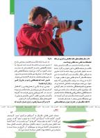 مجله کودک 493 صفحه 13