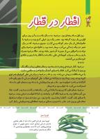 مجله کودک 493 صفحه 8