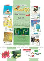 مجله کودک 493 صفحه 2