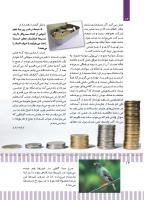 مجله کودک 495 صفحه 14