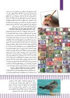 مجله کودک 495 صفحه 12