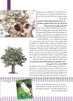 مجله کودک 495 صفحه 13