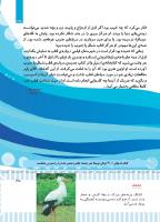 مجله کودک 497 صفحه 35