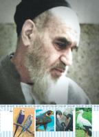 مجله کودک 497 صفحه 43