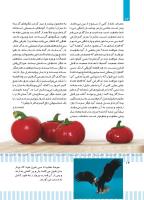 مجله کودک 497 صفحه 14
